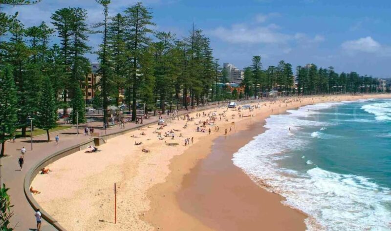 Discover Sydney - Private walking tour - Practical Details & Value