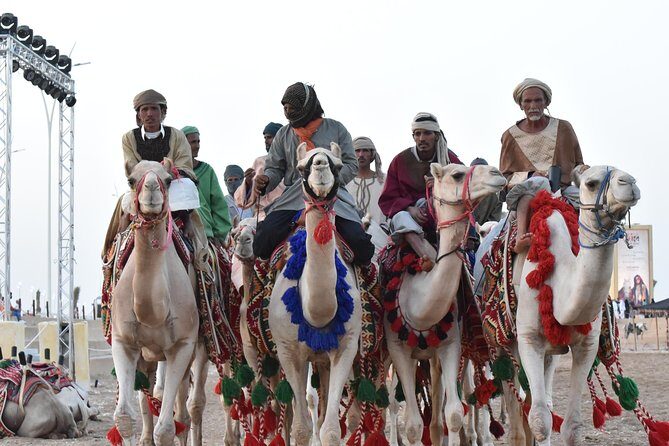 Discover Taif City - Who Is This Tour Best For?