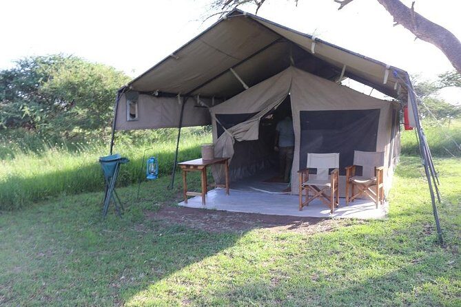 Discover Tanzania through the 3 wild classics - The Sum Up