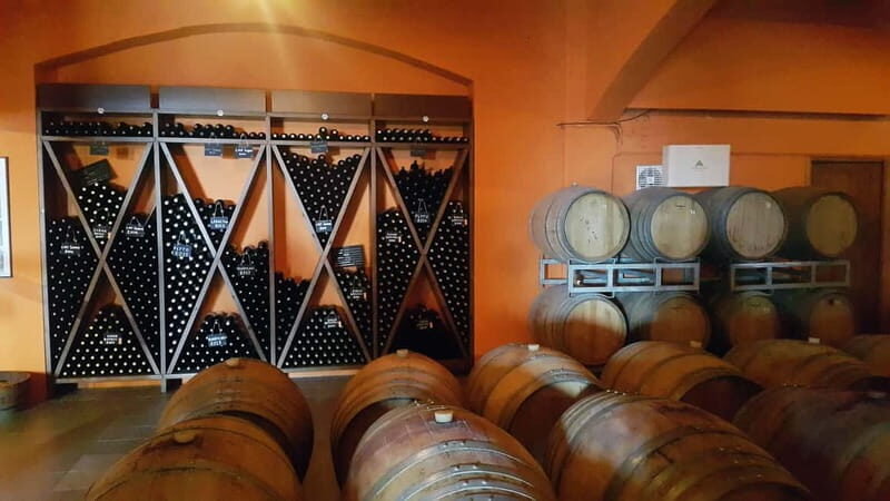 Discover Taste of Crete: Guided Winery Tour and Tastings - Practical Tips for the Tour