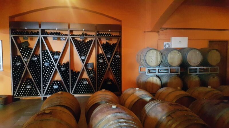 Discover Taste of Crete: Guided Winery Tour and Tastings - Final Thoughts: Who Will Love This Tour?