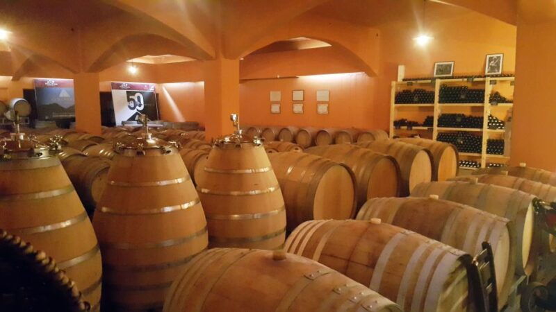 discover-taste-of-crete-guided-winery-tour-and-tastings