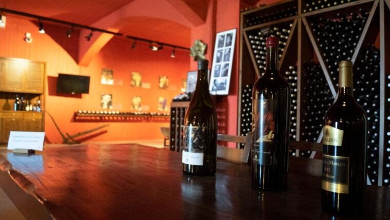 discover-taste-of-crete-guided-winery-tour-and-tastings