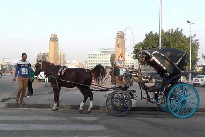 Discover The Amazing Nightlife Of Cairo And Riding the Carriage - A Closer Look at the Cairo Nightlife Tour  