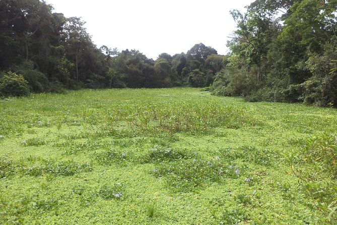 discover-the-amazon-for-3-days-2-nights