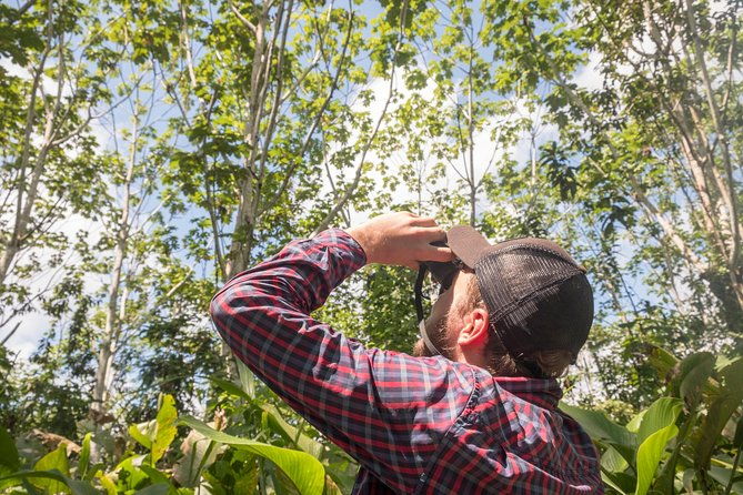 discover-the-amazon-for-3-days-2-nights