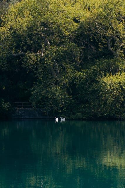 Discover the Archaeological museum of Mesara and Lake Zaros - The Sum Up