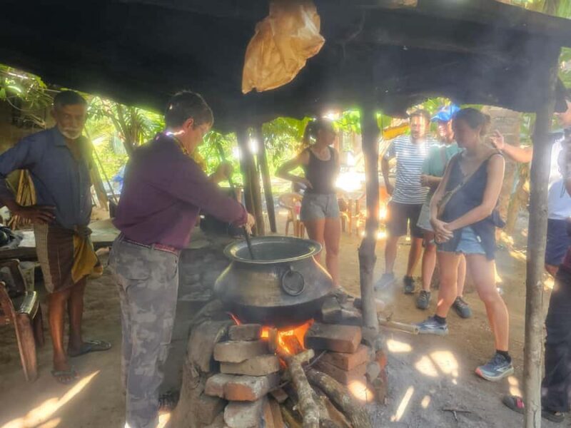 Discover the Art of Curd Making in Tissamaharama - The Sum Up