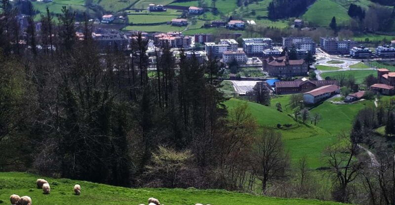 discover-the-art-of-idiazabal-cheese-in-the-basque-country