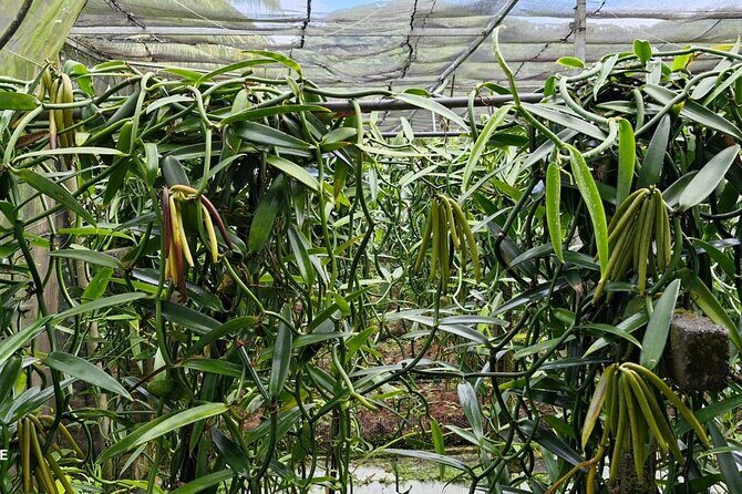 Discover the authenticity of a private and welcoming paradise - Frequently Asked Questions