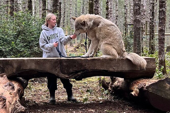 discover-the-beauty-of-the-wild-roam-in-the-spirit-of-the-wolf