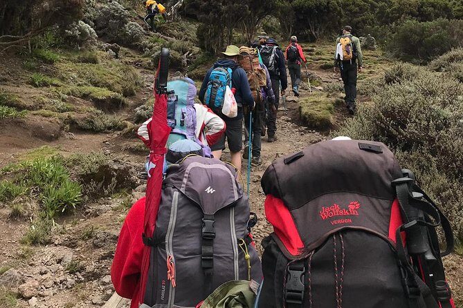 Discover The Best 7-day Kilimanjaro climbing via Machame route - Final Thoughts: Is This Tour Right for You?