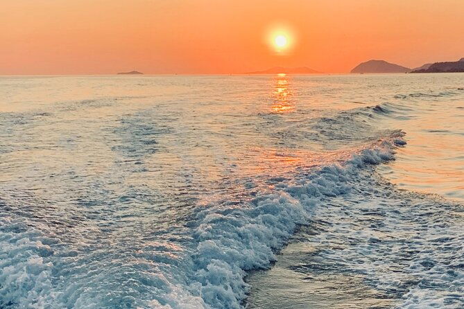 discover-the-best-of-the-elafiti-islands-with-our-group-tour