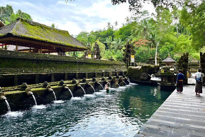 Discover The Best of Ubud: All-Inclusive and Private Guided Tour - A Complete Look at the Experience
