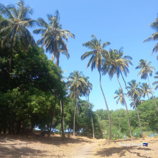 Discover the Black Sand Beach+the Natural Pool - Key Points