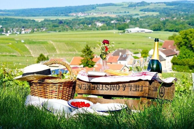 discover-the-cellars-in-the-heart-of-the-countryside-in-champagne