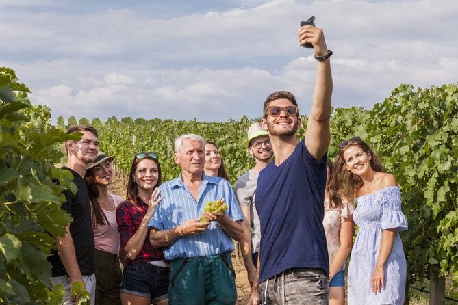 discover-the-cellars-in-the-heart-of-the-countryside-in-champagne