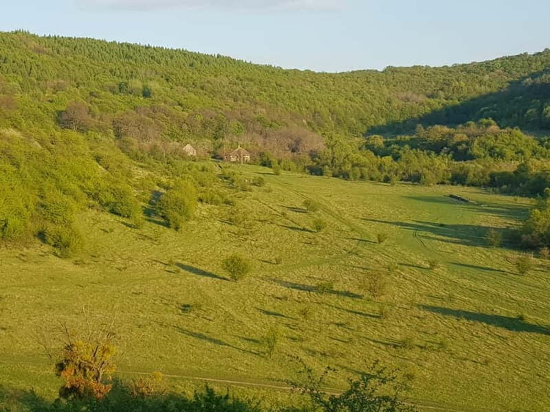 Discover the Charm of Guteria Hill/Sibiu Panorama - An In-Depth Look at the Guteria Hill Trek