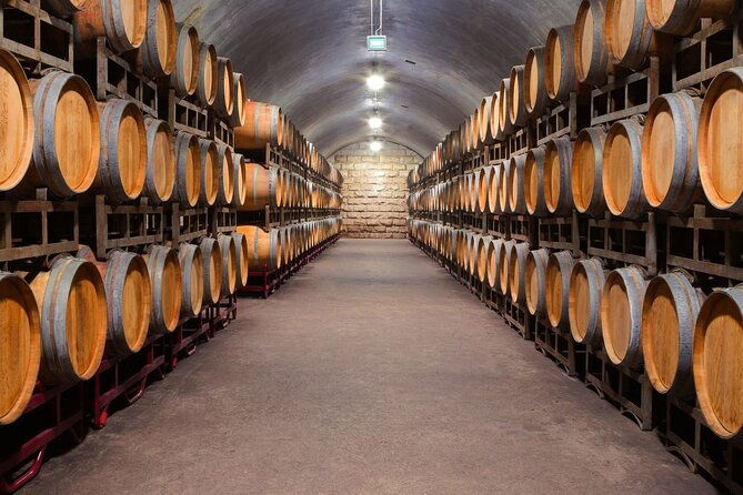 discover-the-charm-of-porto-with-a-picturesque-private-journey