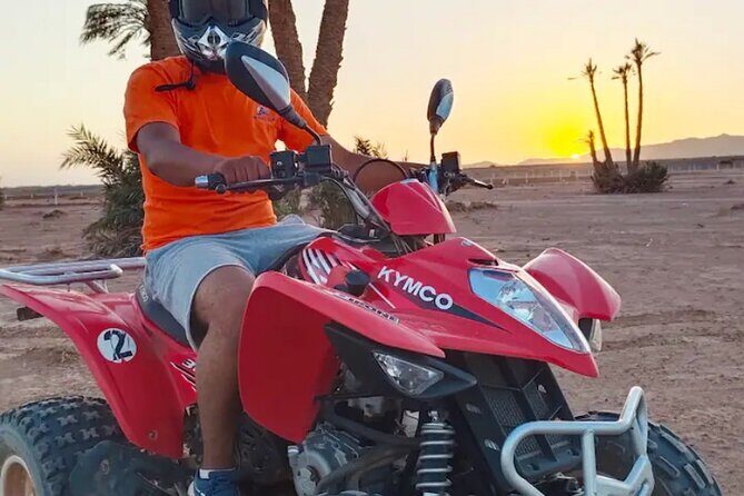 Discover the Desert and the Palm Grove of Marrakech by Quad - What Makes This Tour Stand Out?