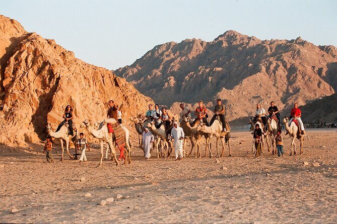 Discover the Desert Magic with an Exciting Camel Ride - Hurghada - Summary