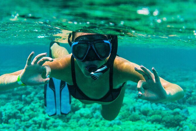 Discover the East of Mauritius: Full-day All-inclusive tour (Visit to 3 parks) - Exploring Local Life at Mahebourg Waterfront and Market