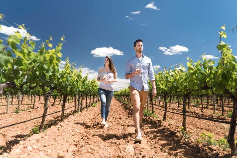 discover-the-essence-of-ibizas-rich-wine-culture