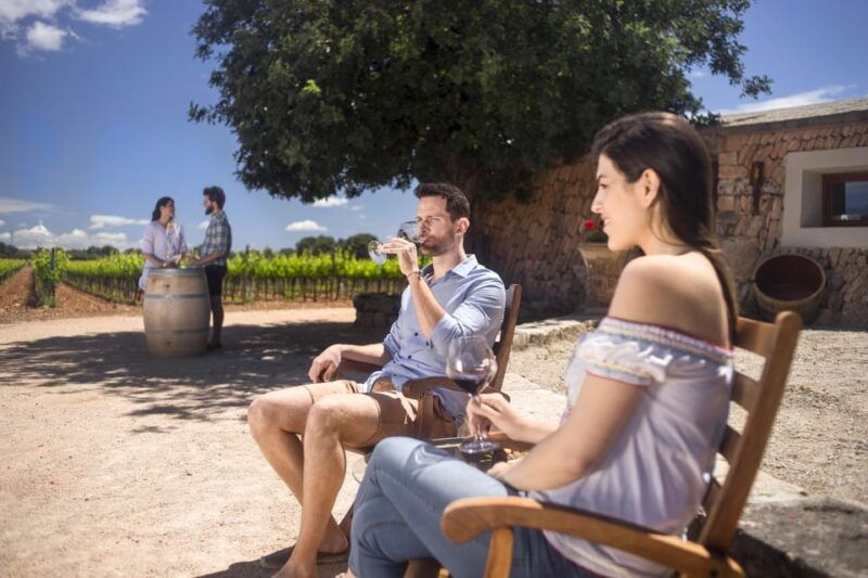 discover-the-essence-of-ibizas-rich-wine-culture