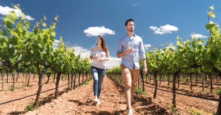 discover-the-essence-of-ibizas-rich-wine-culture