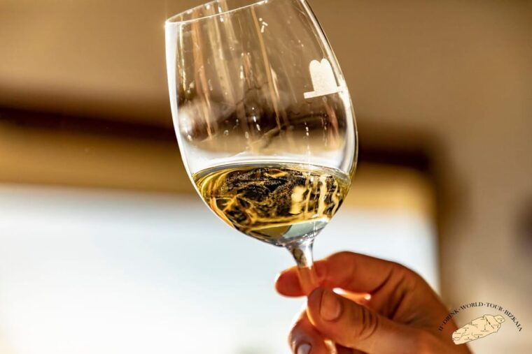 discover-the-essence-of-txakoli-wine-from-san-sebastian
