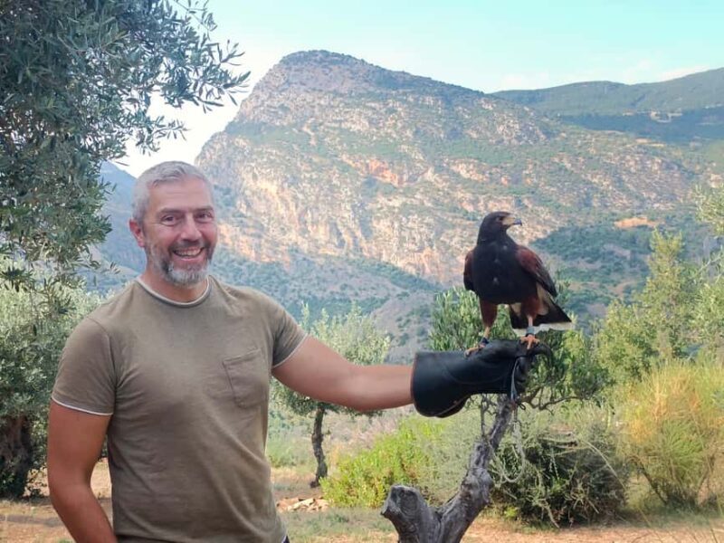 Discover the fantastic world of birds of prey in the Pollino National Park. - Key Points