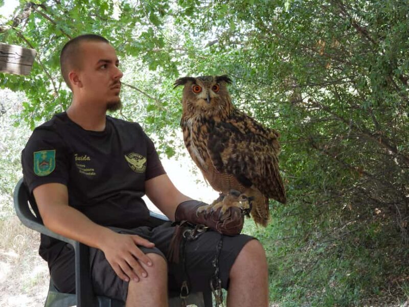 Discover the fantastic world of birds of prey in the Pollino National Park. - What to Expect from the Tour