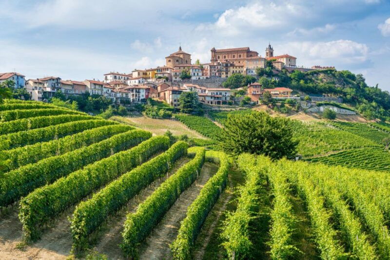 discover-the-heart-of-alba-and-barolo-reggion