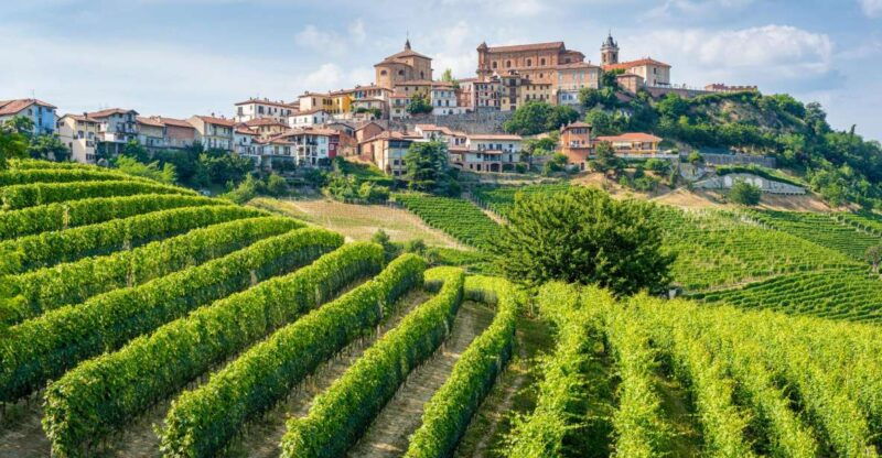 discover-the-heart-of-alba-and-barolo-reggion