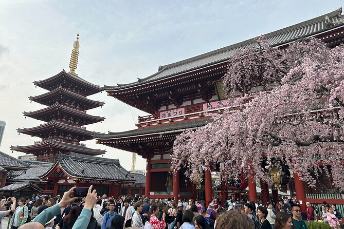 Discover the hidden gems of Tokyo:Private Tour with a Local Guide - Overall Value and Experience