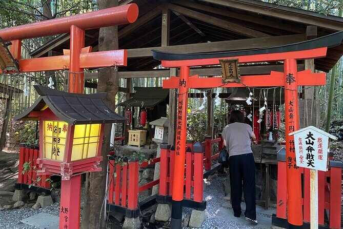 Discover the Hidden Paths of Arashiyama - Who Should Consider This Tour?