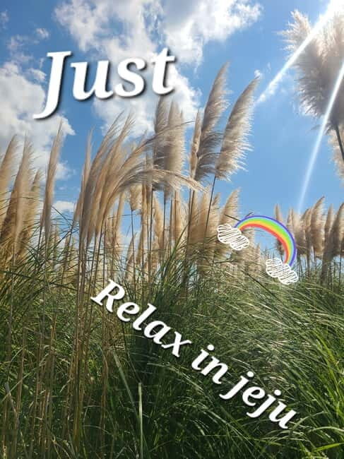 Discover the highlights of Jeju island and its UNESCO sites! - Exploring Jeju Island’s Natural and Cultural Treasures