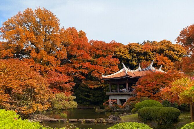 Discover the History of Shinjuku Gyoen  Private Walking Tour - Key Points