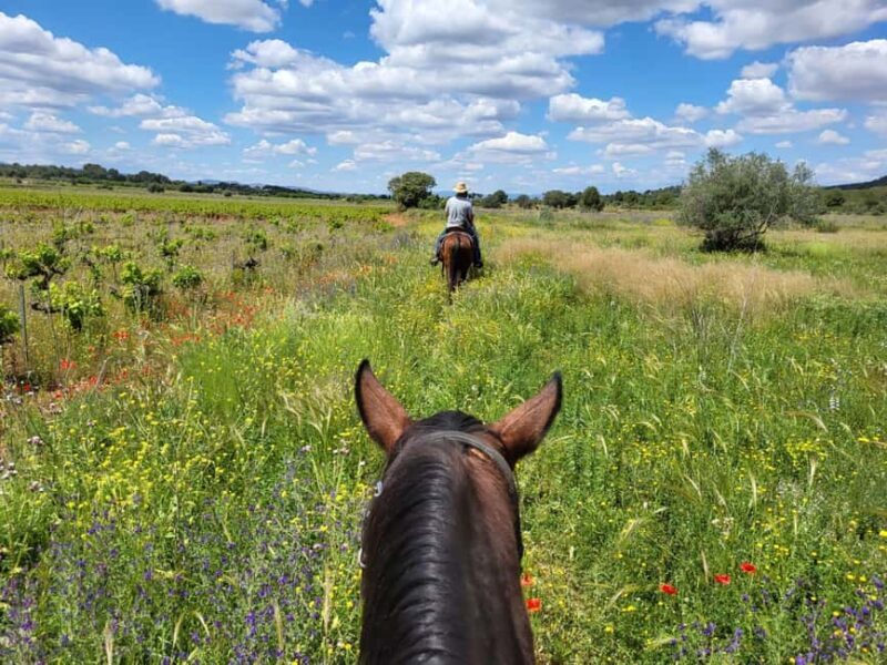 Discover the interior of Valencia on horseback - Key Points