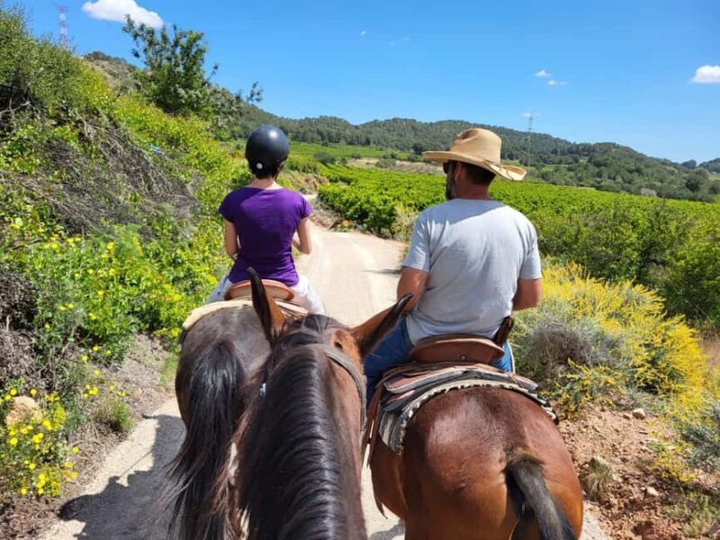 Discover the interior of Valencia on horseback - Experience Overview