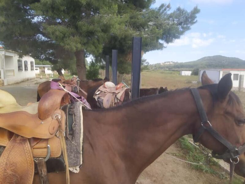 Discover the interior of Valencia on horseback - The Local Picnic: Tasting Regional Flavors