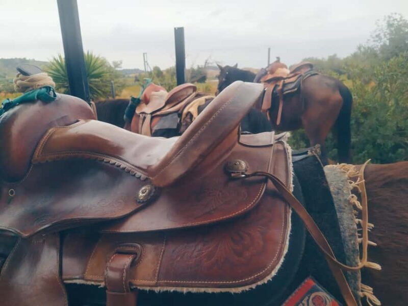 Discover the interior of Valencia on horseback - The Experience from the Reviewers’ Perspective