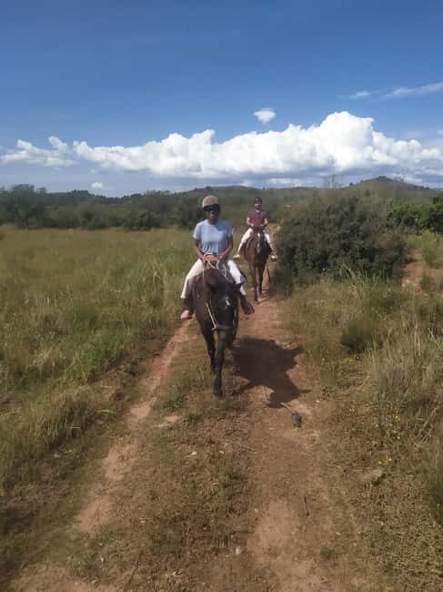 Discover the interior of Valencia on horseback - The Sum Up