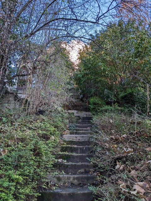 discover-the-living-beauty-of-pere-lachaise