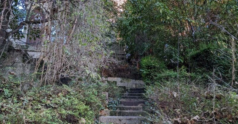 discover-the-living-beauty-of-pere-lachaise
