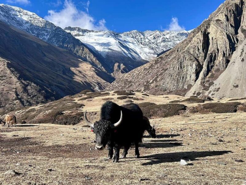 Discover the Lower Mustang : Exclusive Private Tour - Who Is This Tour For?