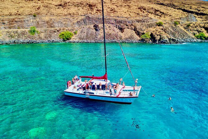 Discover the Magic of Coral Gardens Turtle Town - Maalaea Harbor - An In-Depth Look at the Coral Gardens Turtle Town Tour
