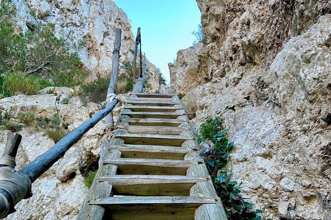 discover-the-magic-of-nature-in-ses-balandres