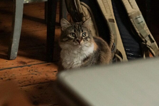 discover-the-magic-of-turkish-coffee-fortune-telling