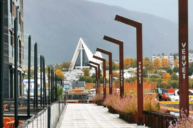 discover-the-most-photogenic-spots-of-tromso-with-a-local